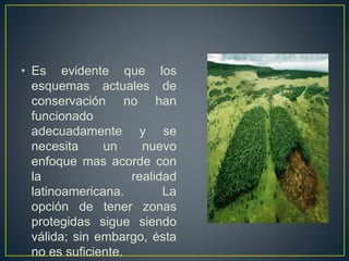 • Es evidente que los
esquemas actuales de
conservación no han
funcionado
adecuadamente y se
necesita un nuevo
enfoque mas acorde con
la realidad
latinoamericana. La
opción de tener zonas
protegidas sigue siendo
válida; sin embargo, ésta
no es suficiente.
 