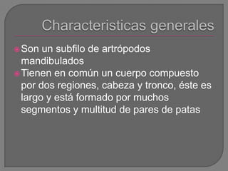  Son  un subfilo de artrópodos
  mandibulados
 Tienen en común un cuerpo compuesto
  por dos regiones, cabeza y tronco, ...