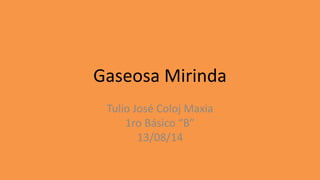 Gaseosa Mirinda
Tulio José Coloj Maxia
1ro Básico “B”
13/08/14
 