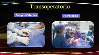 Campos Estériles
Sheehy, J. Brackmann , D. Surgery Of Chronic Otitis Media, Volumen 1, J. B. Lippincott Company, Philadelphia 1994
Transoperatorio
Microscopio
Miringoplastia
 
