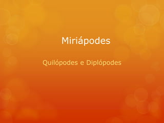 Miriápodes
Quilópodes e Diplópodes
 