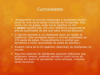 Curiosidades
 Antigamente os animais diplópodes e quilópodes faziam
parte de uma única classe chamada de miriápodes. Este
nome vem do grego, onde myria significa 10 mil
e podos significa pés. Era uma referência exagerada da
grande quantidade de pés que estes animais possuem.
 O Illacme plenipes é um diplópode típico da região da
Califórnia. Este artrópode possui a incrível quantidade de
370 pares de patas. Provavelmente é o animal que
apresenta a maior quantidade de patas do planeta.]
 Existem cerca de 8 mil espécies (descritas) de diplópodes no
mundo.
 Algumas espécies de diplópodes possuem glândulas que
produzem veneno, podendo secretá-lo como forma de
defesa em quem se apresentar como ameaça, inclusive
seres humanos.
 