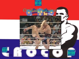 Mirko Cro Cop Filipovic | PPT