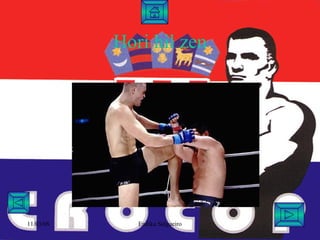 Mirko Cro Cop Filipovic | PPT