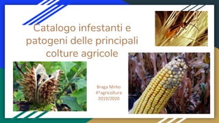 Catalogo infestanti e
patogeni delle principali
colture agricole
Braga Mirko
4^agricoltura
2019/2020
 