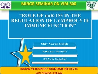 “ROLE OF miR-155 IN THE
REGULATION OF LYMPHOCYTE
IMMUNE FUNCTION”
INDIAN VETERINARY RESEARCH INSTITUTE
IZATNAGAR-243122
 