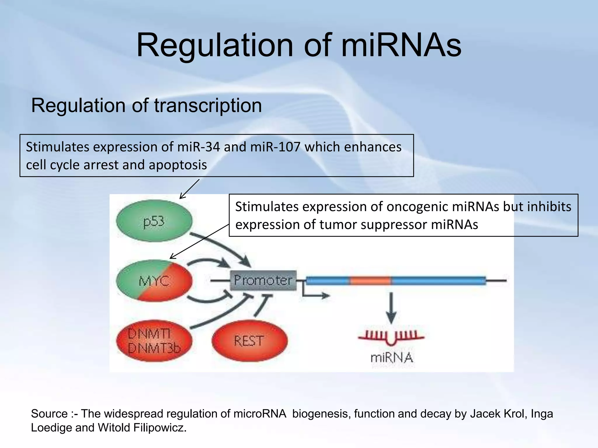Regulation of miRNAs
Regulation of transcription
Stimulates expression of miR-34 and miR-107 which enhances
cell cycle arrest and apoptosis

                                      Stimulates expression of oncogenic miRNAs but inhibits
                                      expression of tumor suppressor miRNAs




Source :- The widespread regulation of microRNA biogenesis, function and decay by Jacek Krol, Inga
Loedige and Witold Filipowicz.
 