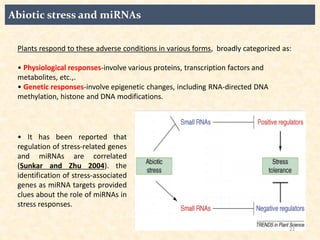 Mi rna and abiotic stress in plant | PDF