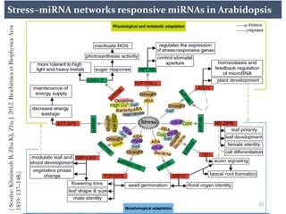 Mi rna and abiotic stress in plant | PDF