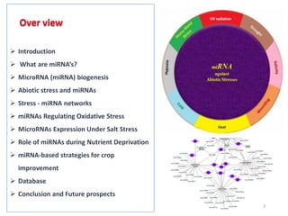 Mi rna and abiotic stress in plant | PDF
