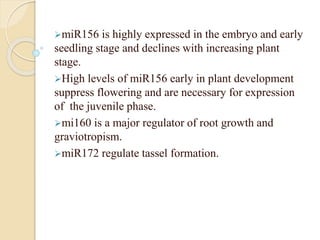 miR156 is highly expressed in the embryo and early
seedling stage and declines with increasing plant
stage.
High levels of miR156 early in plant development
suppress flowering and are necessary for expression
of the juvenile phase.
mi160 is a major regulator of root growth and
graviotropism.
miR172 regulate tassel formation.
 