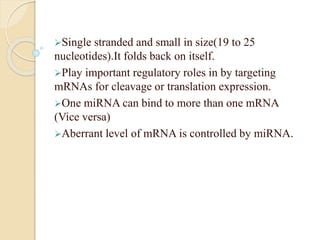 Single stranded and small in size(19 to 25
nucleotides).It folds back on itself.
Play important regulatory roles in by targeting
mRNAs for cleavage or translation expression.
One miRNA can bind to more than one mRNA
(Vice versa)
Aberrant level of mRNA is controlled by miRNA.
 