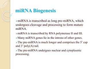 miRNA Biogenesis
miRNA is transcribed as long pre-miRNA, which
undergoes cleavage and processing to form mature
miRNA.
miRNA is transcribed by RNA polymerase II and III.
Many miRNA genes lie in the introns of other genes.
The pre-miRNA is much longer and comprises the 5’ cap
and 3’ poly(A) tail.
The pre-miRNA undergoes nuclear and cytoplasmic
processing.
 