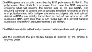Comprehensive Overview of microRNA Biogenesis and Function in Gene ...
