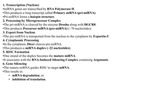 Comprehensive Overview of microRNA Biogenesis and Function in Gene ...