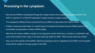 Click to edit Master title style
11
Processing in the cytoplasm:
11
• Now the pre-miRNA is transported through the nuclear pores to the cytoplasm using the exportin5, the
EXP5 or exportin 5 is a RanGTP-dependent nuclear transport receptor protein.
• The cytoplasmic RNase III dicer processed the pre-miRNA and generates the mature miRNA.
• A highly conserved protein Dicer is a specific type of nuclease that cleaves the pre-miRNA exactly at 22
nucleotides and generates a mature miRNA duplex.
• After that, the mature miRNA is loaded on the Argonaute protein that forms a complex in combination with
some other proteins which helps in the gene silencing called the RISC, RNA induced silencing complex.
• Now, one of the strands of the dsRNA called the passenger strand is degraded by the RISC and the guided
strand will be loaded on the Ago protein of the RISC.
 