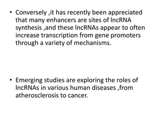• Conversely ,it has recently been appreciated
that many enhancers are sites of lncRNA
synthesis ,and these lncRNAs appear to often
increase transcription from gene promoters
through a variety of mechanisms.
• Emerging studies are exploring the roles of
lncRNAs in various human diseases ,from
atherosclerosis to cancer.
 