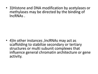 • 3)Histone and DNA modification by acetylases or
methylases may be directed by the binding of
lncRNAs .
• 4)In other instances ,lncRNAs may act as
scaffolding to stabilize secondary or tertiary
structures or multi subunit complexes that
influence general chromatin architecture or gene
activity.
 