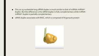 ■ This 20-25 nucleotide long siRNA duplex is much similar to that of miRNA-miRNA*
duplex. But the difference is the siRNA duplex is fully complementary while miRNA-
miRNA* duplex is partially complementary
■ siRNA duplex associates with RISC, which is composed of Argonaute protein
 