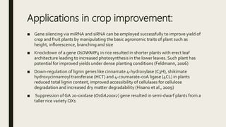 Applications in crop improvement:
■ Gene silencing via miRNA and siRNA can be employed successfully to improve yield of
crop and fruit plants by manipulating the basic agronomic traits of plant such as
height, inflorescence, branching and size
■ Knockdown of a gene OsDWARF4 in rice resulted in shorter plants with erect leaf
architecture leading to increased photosynthesis in the lower leaves. Such plant has
potential for improved yields under dense planting conditions (Feldmann, 2006)
■ Down-regulation of lignin genes like cinnamate 4-hydroxylase (C3H), shikimate
hydroxycinnamoyl transferase (HCT) and 4-coumarate-coA ligase (4CL) in plants
reduced total lignin content, improved accessibility of cellulases for cellulose
degradation and increased dry matter degradability (Hisano et al., 2009)
■ Suppression of GA 20-oxidase (OsGA20ox2) gene resulted in semi-dwarf plants from a
taller rice variety QX1
 