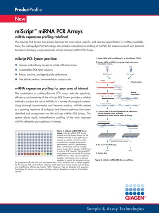 ProductProfile

New

miScript™ miRNA PCR Arrays
miRNA expression profiling redefined
The miScript PCR System has always delivered the most robust, specific, and sensitive quantification of miRNAs available.
Now, this cutting-edge PCR technology also enables comprehensive profiling of miRNAs for disease research and potential
biomarker discovery using extensively verified miScript miRNA PCR Arrays.

miScript PCR System provides:

1. Isolate miRNA with the miRNeasy Kit or the miRNeasy FFPE Kit
2. Convert miRNA to cDNA in a one-step, single-tube reverse
transcription reaction.

„„ Disease- and pathway-focused or whole miRNome arrays
„„ Customizable PCR array solutions
„„ Robust, sensitive, and reproducible performance

RNA Sample 1

„„ Free Web-based and automated data analysis tools
5‘

miRNA expression profiling for your area of interest

Poly(A) tail

5‘

to a growing repertoire of biological and disease pathways have been
identified and incorporated into the miScript miRNA PCR Arrays. This
system allows rapid, comprehensive profiling of the most important

Reverse
transcription

3‘
A A A A A(A)n
TTT T TT

Universal RT Primer

method to explore the role of miRNAs in a variety of biological contexts.
Using thorough bioinformatics and literature analysis, miRNAs related

3‘
A A A A A(A)n

Single tube reaction

efficiency, and sensitivity of the miScript PCR System provides a reliable

Polyadenylation

3‘

5‘

The combination of pathway-focused PCR arrays with the specificity,

miRNA

RNA Sample 2

5‘

First strand cDNA

TTT T TT

3‘

3. Combine cDNA to QuantiTect SYBR Green PCR Mastermix,
miScript Universal Primer, and water.
Aliquot mixture across miScript miRNA PCR Array.

miRNAs related to your pathway of interest.

miScript Primer Assay
TTT T TT

5‘
cDNA

Figure 1. miScript miRNA PCR Array
Layout. miScript miRNA PCR Arrays
provide miScript Primer Assays for 84
miRNAs involved in your pathway of
interest, as well as controls for data
normalization, reverse transcription
performance, and PCR performance.
Data normalization controls include
primer assays for C. elegans miR-39 and
6 miScript PCR Controls. The cel-miR-39
assay detects the Syn-cel-miR-39 miScript
miRNA Mimic, which can be added to
samples, particularly serum or plasma
samples, to control for variations during
the preparation of total RNA and subsequent steps. The 5 snoRNAs and 1 snRNA targeted
by the miScript PCR Controls have relatively stable expression across tissues and cell types
and amplification efficiencies close to 100%. Moreover, they are designed with sequence
homologies for human, rat, mouse, and dog, and can therefore be used for all available
species.

3‘
Universal Primer

qPCR using miScript Primer Assay
and miScript Universal Primer

4. Run in real-time PCR cycler.
data

data

5. Analyze data.

Figure 2. miScript miRNA PCR Array workflow.

Sample & Assay Technologies

 