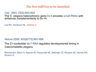Cell 1993; 75(5):843-854
The C. elegans heterochronic gene lin-4 encodes small RNAs with
antisense complementarity to lin-14.
Lee RC, Feinbaum RL, Ambros V.
Nature 2000; 403(6772):901-906
The 21-nucleotide let-7 RNA regulates developmental timing in
Caenorhabditis elegans.
Reinhart BJ, Slack FJ, Basson M, Pasquinelli AE, Bettinger JC, Rougvie AE, Horvitz HR,
Ruvkun G.
The first miRNAs to be identified
 