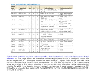 Predicted and confirmed targets of Arabidopsis miRNAs that encode known or suspected transcription factors
are listed. For each target family, the number of predicted target genes in each of three plant species with
sequenced genomes (A.t., Arabidopsis thaliana; O.s., Oryza sativa; P.t., Populus trichocarpa) is indicated. To be
counted, a potential target must contain a complementary site to at least one member of the indicated miRNA
family with a score of 3 or less (as described in 53), with the exception of the bZIP family (marked with an
asterisk), for which some targets with more relaxed complementarity were included. Abbreviations: SBP,
SQUAMOSA-promoter binding protein; ARF, AUXIN RESPONSE FACTOR; SCL, SCARECROW-LIKE; GRF, GROWTH
REGULATING FACTOR.
 