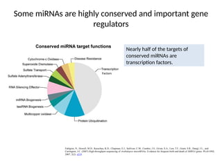 Some miRNAs are highly conserved and important gene
regulators
Fahlgren, N., Howell, M.D., Kasschau, K.D., Chapman, E.J., Sullivan, C.M., Cumbie, J.S., Givan, S.A., Law, T.F., Grant, S.R., Dangl, J.L., and
Carrington, J.C. (2007) High-throughput sequencing of Arabidopsis microRNAs: Evidence for frequent birth and death of MIRNA genes. PLoS ONE.
2007; 2(2): e219.
Nearly half of the targets of
conserved miRNAs are
transcription factors.
Factors
 