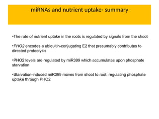 miRNAs and nutrient uptake- summary
•The rate of nutrient uptake in the roots is regulated by signals from the shoot
•PHO2 encodes a ubiquitin-conjugating E2 that presumably contributes to
directed proteolysis
•PHO2 levels are regulated by miR399 which accumulates upon phosphate
starvation
•Starvation-induced miR399 moves from shoot to root, regulating phosphate
uptake through PHO2
 