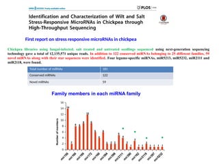 First report on stress responsive microRNAs in chickpea
Total number of miRNAs 181
Conserved miRNAs 122
Novel miRNAs 59
m
i
r
1
5
6
m
i
r
1
6
6
m
i
r
1
6
9
m
i
r
1
7
2
m
i
r
1
6
0
m
i
r
3
9
4
m
i
r
3
9
8
m
i
r
2
1
1
1
m
i
r
3
9
0
m
i
r
1
6
2
m
i
r
2
1
1
8
m
i
r
3
9
7
m
i
r
5
2
3
2
0
2
4
6
8
10
12
14
16
Number
of
members
14
2
8 8
9
12
9
6
4
6
2 2 2
5
4
2
1
3
1 1 1 1 1 1
2
Family members in each miRNA family
Chickpea libraries using fungal-infected, salt treated and untreated seedlings sequenced using next-generation sequencing
technology gave a total of 12,135,571 unique reads. In addition to 122 conserved miRNAs belonging to 25 different families, 59
novel miRNAs along with their star sequences were identified. Four legume-specific miRNAs, miR5213, miR5232, miR2111 and
miR2118, were found.
 