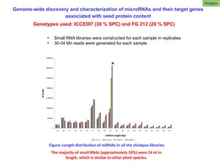 Genome-wide discovery and characterization of microRNAs and their target genes
associated with seed protein content
Genotypes used: ICC8397 (30 % SPC) and FG 212 (20 % SPC)
• Small RNA libraries were constructed for each sample in replicates
• 30-34 Mn reads were generated for each sample
Figure: Length distribution of miRNAs in all the chickpea libraries
The majority of small RNAs (approximately 50%) were 24 nt in
length, which is similar to other plant species.
Protein
 