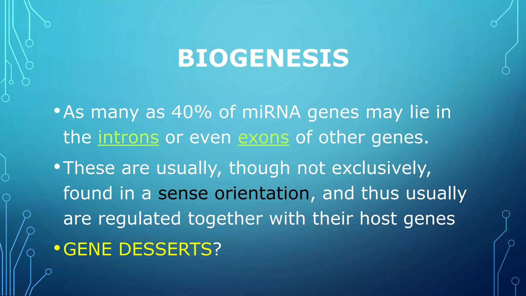 BIOGENESIS
•As many as 40% of miRNA genes may lie in
the introns or even exons of other genes.
•These are usually, though not exclusively,
found in a sense orientation, and thus usually
are regulated together with their host genes
•GENE DESSERTS?
 