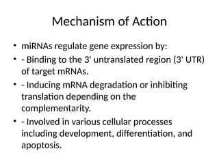 Mechanism of Action
• miRNAs regulate gene expression by:
• - Binding to the 3' untranslated region (3' UTR)
of target mRNAs.
• - Inducing mRNA degradation or inhibiting
translation depending on the
complementarity.
• - Involved in various cellular processes
including development, differentiation, and
apoptosis.
 