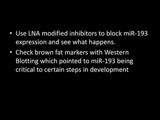 • Use LNA modified inhibitors to block miR-193
  expression and see what happens.
• Check brown fat markers with Western
  Blotting which pointed to miR-193 being
  critical to certain steps in development
 