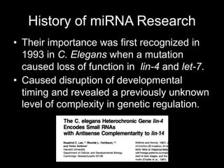 History of miRNA Research
• Their importance was first recognized in
  1993 in C. Elegans when a mutation
  caused loss of function in lin-4 and let-7.
• Caused disruption of developmental
  timing and revealed a previously unknown
  level of complexity in genetic regulation.
 