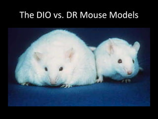 The DIO vs. DR Mouse Models
 