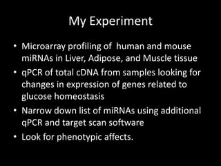 My Experiment
• Microarray profiling of human and mouse
  miRNAs in Liver, Adipose, and Muscle tissue
• qPCR of total cDNA from samples looking for
  changes in expression of genes related to
  glucose homeostasis
• Narrow down list of miRNAs using additional
  qPCR and target scan software
• Look for phenotypic affects.
 
