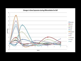 Changes in Gene Expression during differen a on for BAT
              16



              14



              12
                                                                                                 pparalpha

                                                                                                 prdm16
              10
                                                                                                 smad3

                                                                                                 cox8b
Fold Change




               8
                                                                                                 UCP1

                                                                                                 ppargamma
               6
                                                                                                 pgc1a

                                                                                                 FAS
               4                                                                                 Serpin3AK.

                                                                                                 resis n
               2                                                                                 ap2



               0
                   0   1   2           3         4             5     6         7         8   9


              -2
                                                     Day No.
 