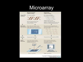 Microarray
 