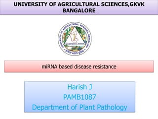 miRNA based disease resistance
Harish J
PAMB1087
Department of Plant Pathology
UNIVERSITY OF AGRICULTURAL SCIENCES,GKVK
BANGALORE
 