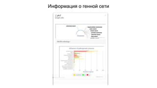 Информация о генной сети 
 