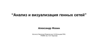 “Анализ и визуализация генных сетей” 
Александр Фокин 
Институт Биологии Развития им. Н.К.Кольцова РАН, 
РНИМУ им. Н.И. Пирогова 
 