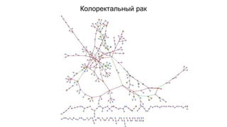 Колоректальный рак 
 