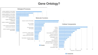 Gene Ontology? 
 
