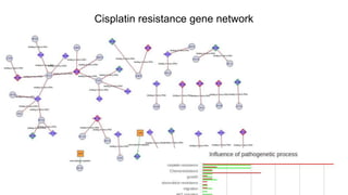 Cisplatin resistance gene network 
 