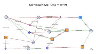 Кратчайший путь: PAX6 => OPTN 
 