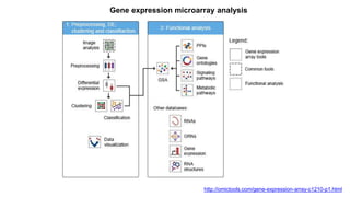 Gene expression microarray analysis 
http://omictools.com/gene-expression-array-c1210-p1.html 
 