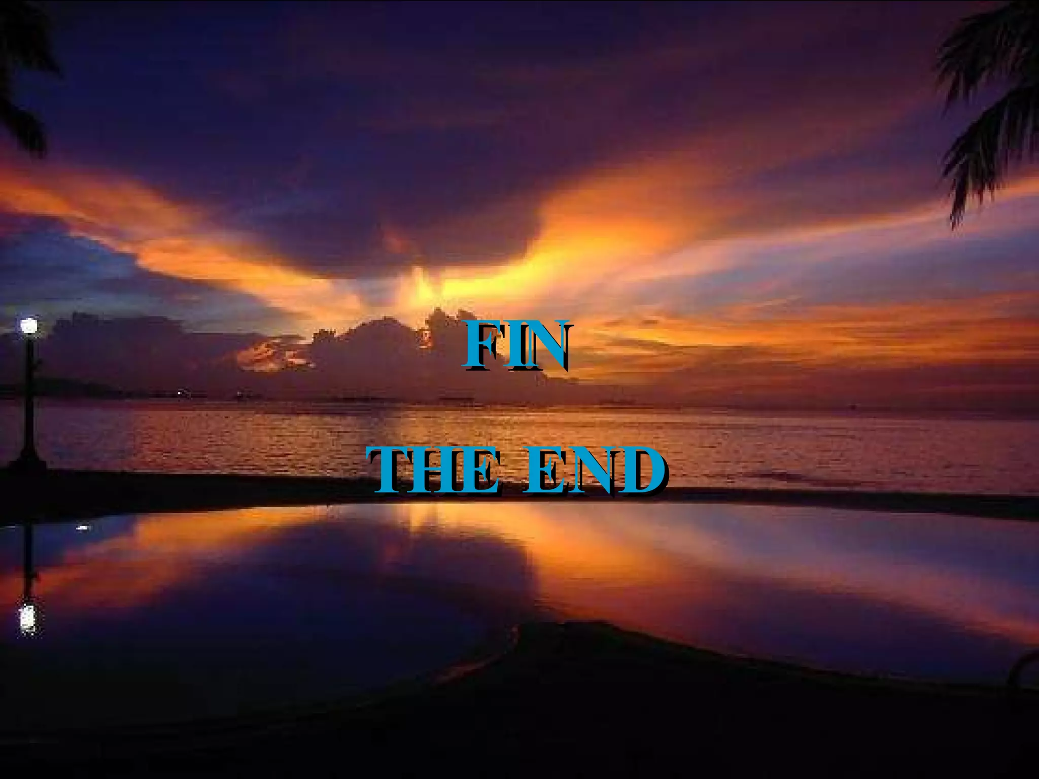 FIN THE END 