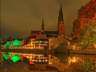 Miroirs naturels 201332