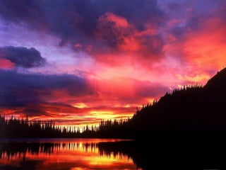 Miroirs naturels 201332